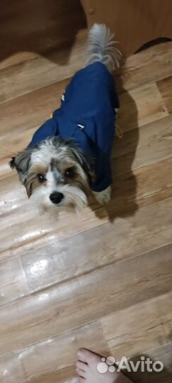 Ищем девочку, для встреч