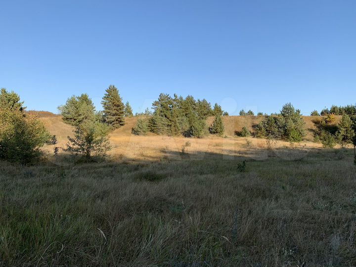 Участок 1,4 га (ИЖС)