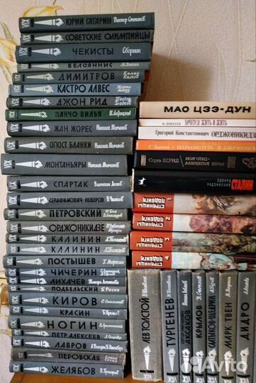 Книги серии жзл, библиотека