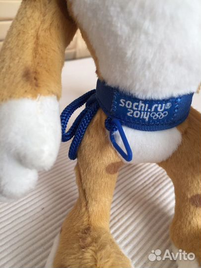 Тигр Сочи 2014