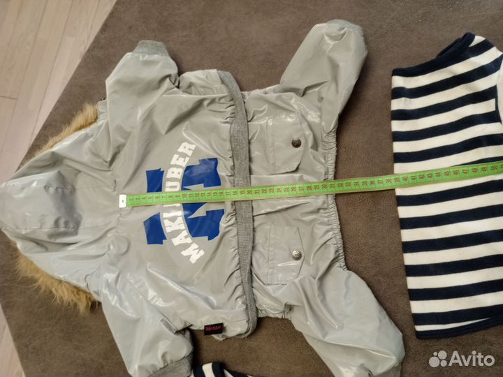 Одежда для собак мелких пород