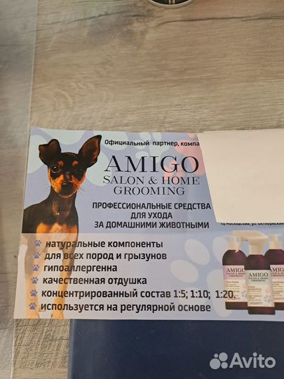 Amigo