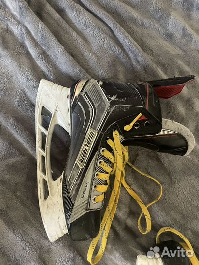 Коньки bauer vapor x900