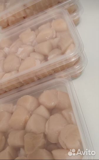 Морской гребешок Парной