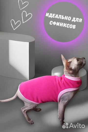 Одежда для кошек сфинксов и собак