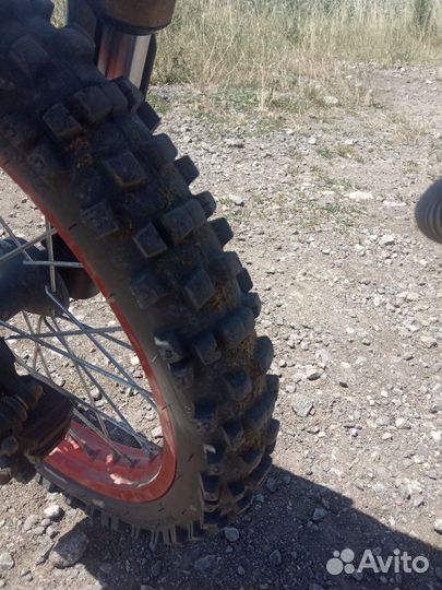 Kayo evolution 140(2022)