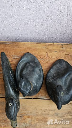 Подсадные утки для охоты