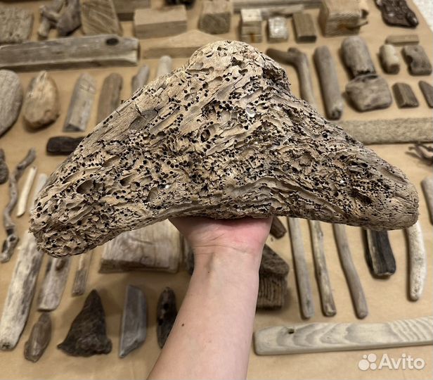 Дрифтвуд набор