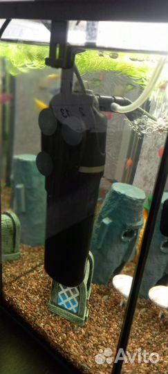 Аквариум с рыбками