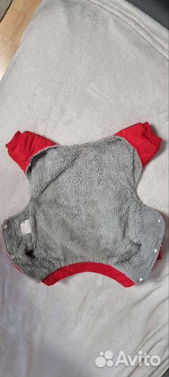 Одежда для собак
