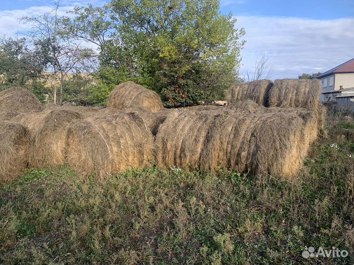 Сено в рулонах