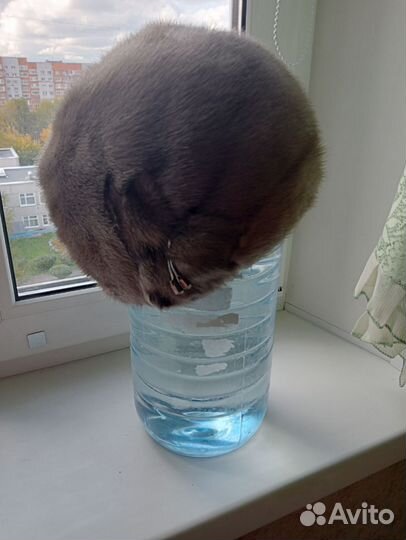 Шапка зимняя норковая женская