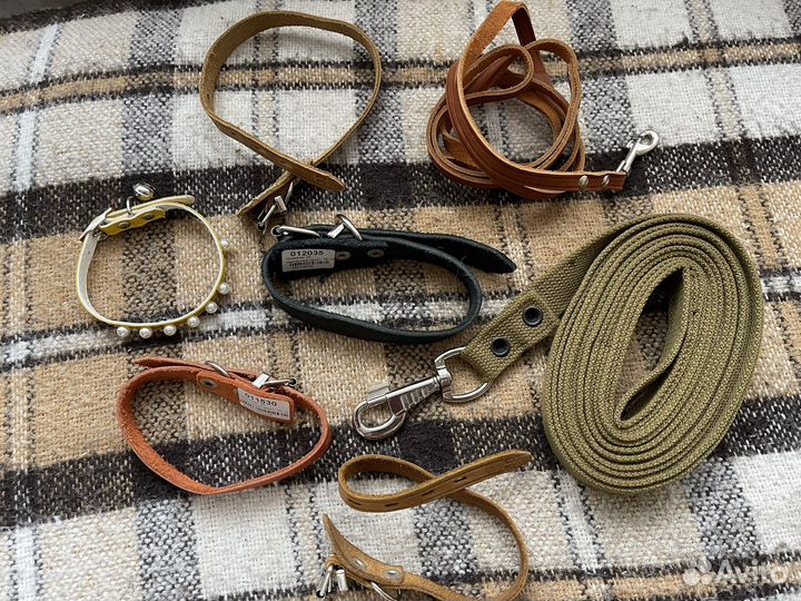 Товары для животных