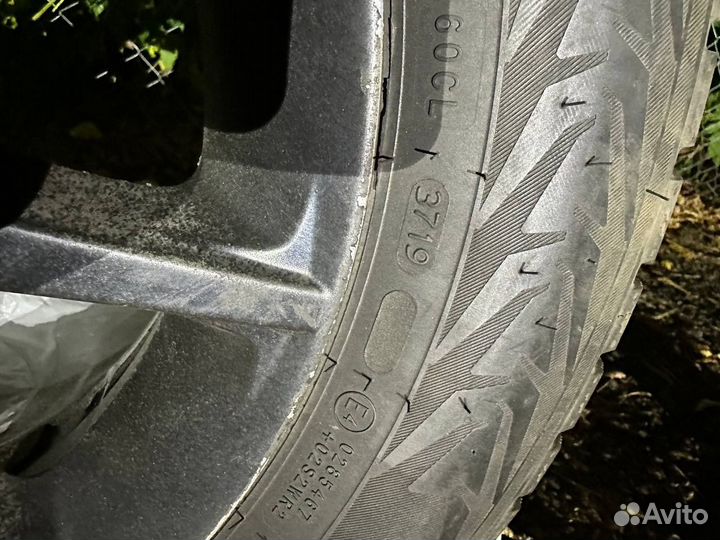 Nokian Tyres Nordman 7 205/60 R16