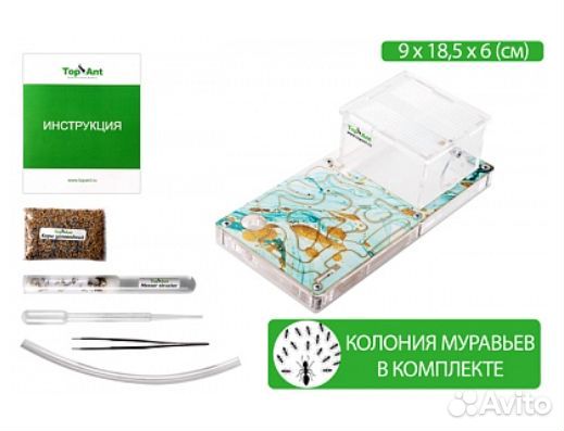 Муравьиная ферма