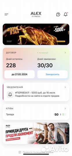 Абонемент в фитнес клуб alex fitness