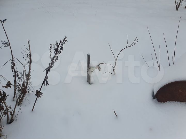 Участок 5 сот. (СНТ, ДНП)