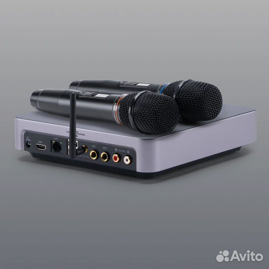 Караоке Evobox Plus графит