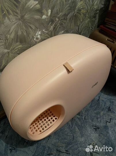 Кошачий лоток