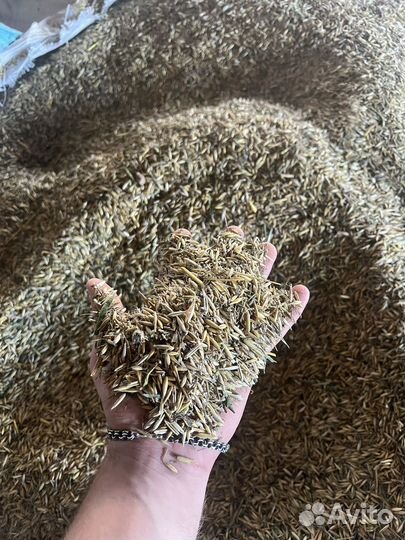 Зерноотходы овса