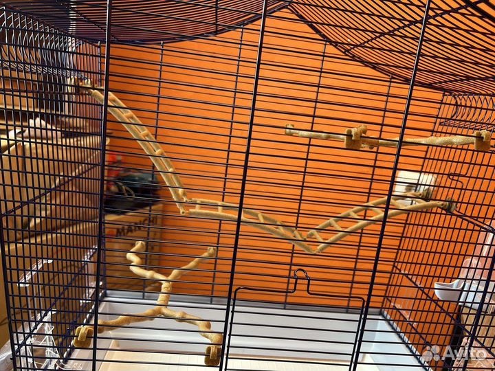 Клетки для птиц