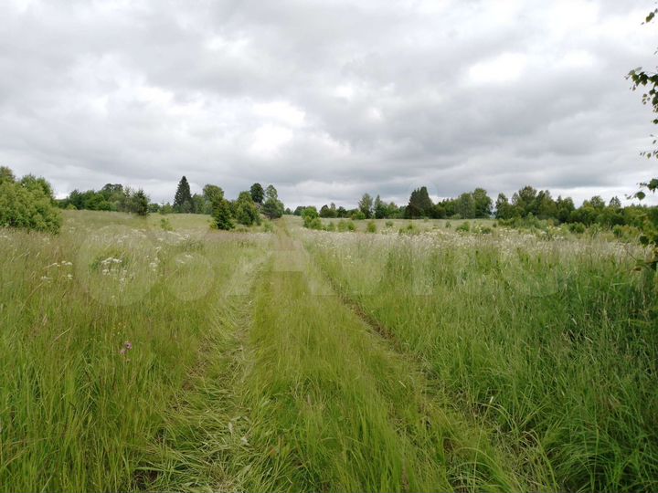 Участок 9 га (СНТ, ДНП)