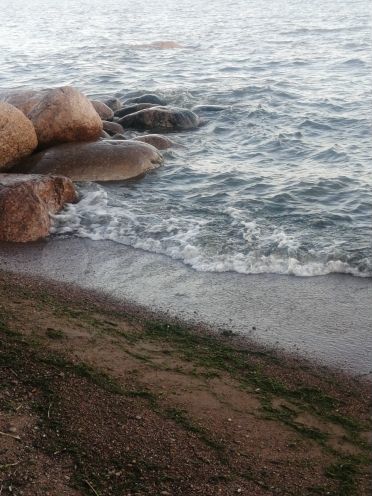 Участок 21 сот. (ИЖС)