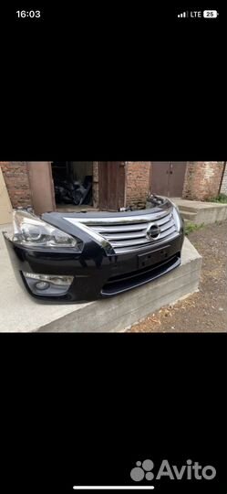 Ноускат nissan teana L 33