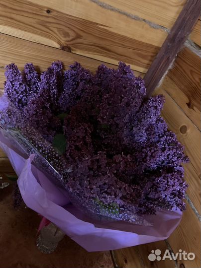 Букет сирени