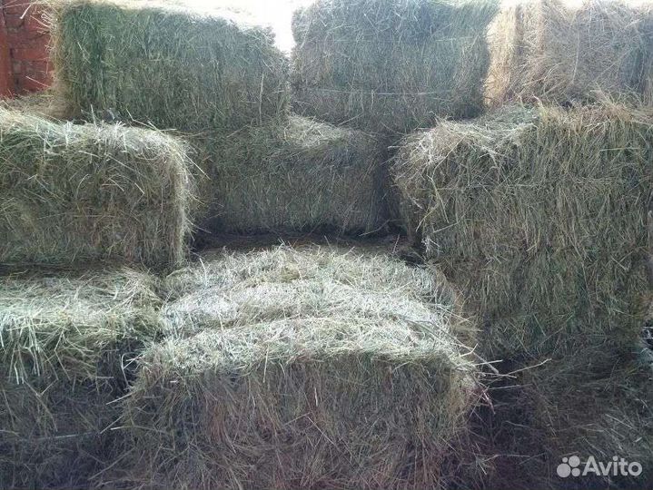 Солома. Сено. На корма и подстилку. Доставка