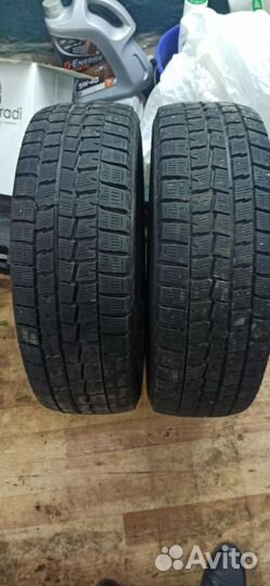 Dunlop Winter Maxx WM01 205/60 R16