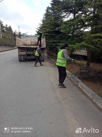 Твой собственный бизнес с доходом от 100 к/месяц