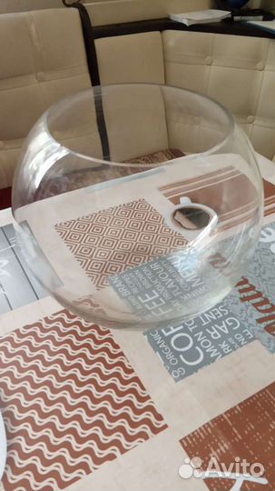 Аквариум круглый