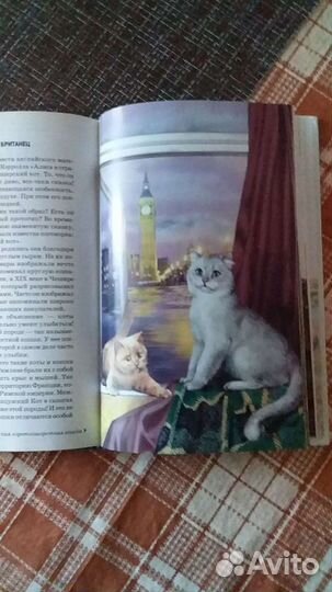 Книга детская