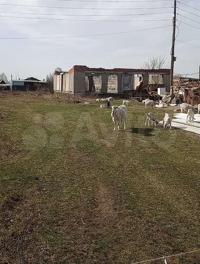 Участок 15,4 сот. (ИЖС)