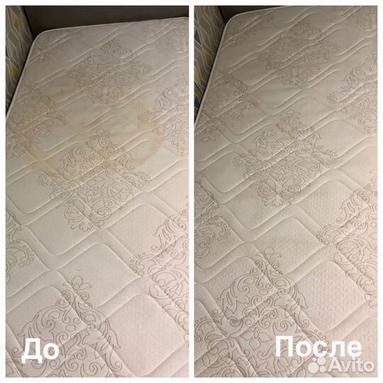 Аренда моющего пылесоса Karcher