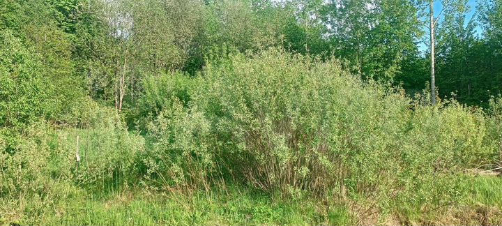 Участок 14 сот. (ИЖС)