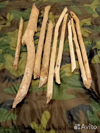 Для творчества, палочки из бобровой плотины