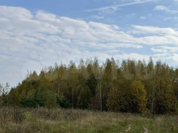 Участок 9 га (СНТ, ДНП)