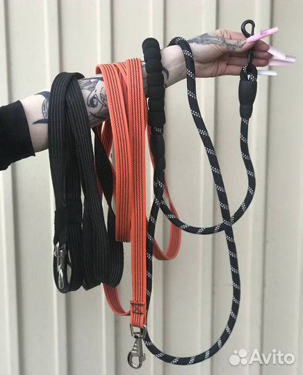 Амуниция и игрушки для собак