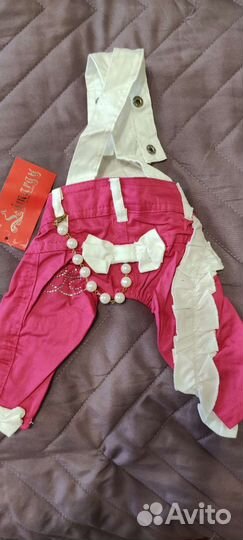 Одежда для собак