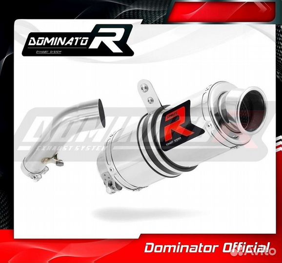 Глушитель Dominator BMW R1200R 2006-2009 Выхлоп