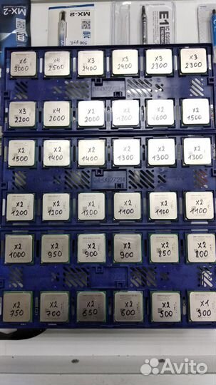 Процессоры AMD В наличии