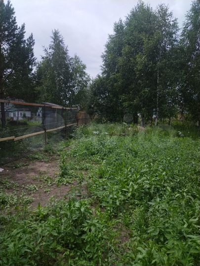 Участок 6 сот. (СНТ, ДНП)
