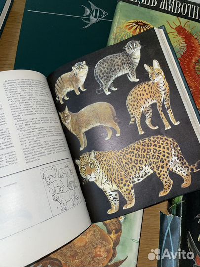 Энциклопедия Жизнь животных в 6 томах (7 книг)