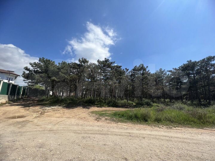 Участок 8,5 сот. (СНТ, ДНП)