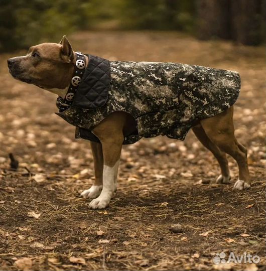 Попона для собак 35, 40 и 60 см новые