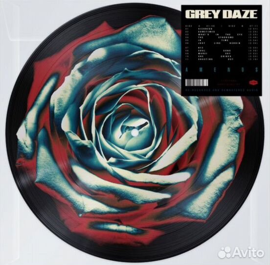 Grey daze - Amends (Picture lp)