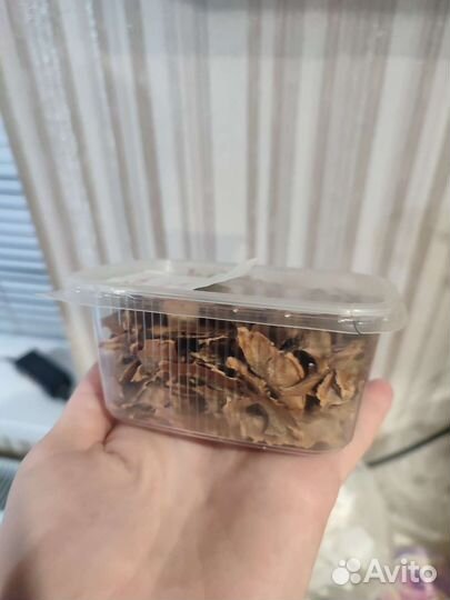 Перегородки грецких орехов