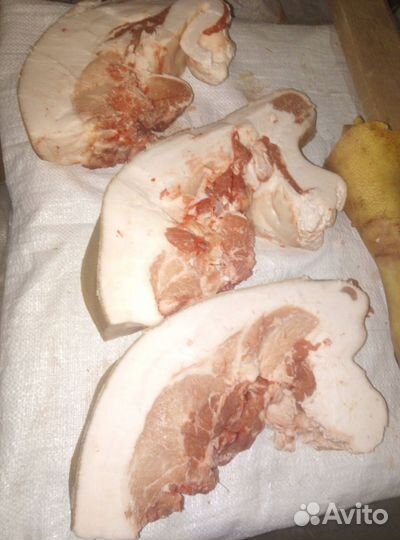 Мясо, сало (шпик) свинина домашняя